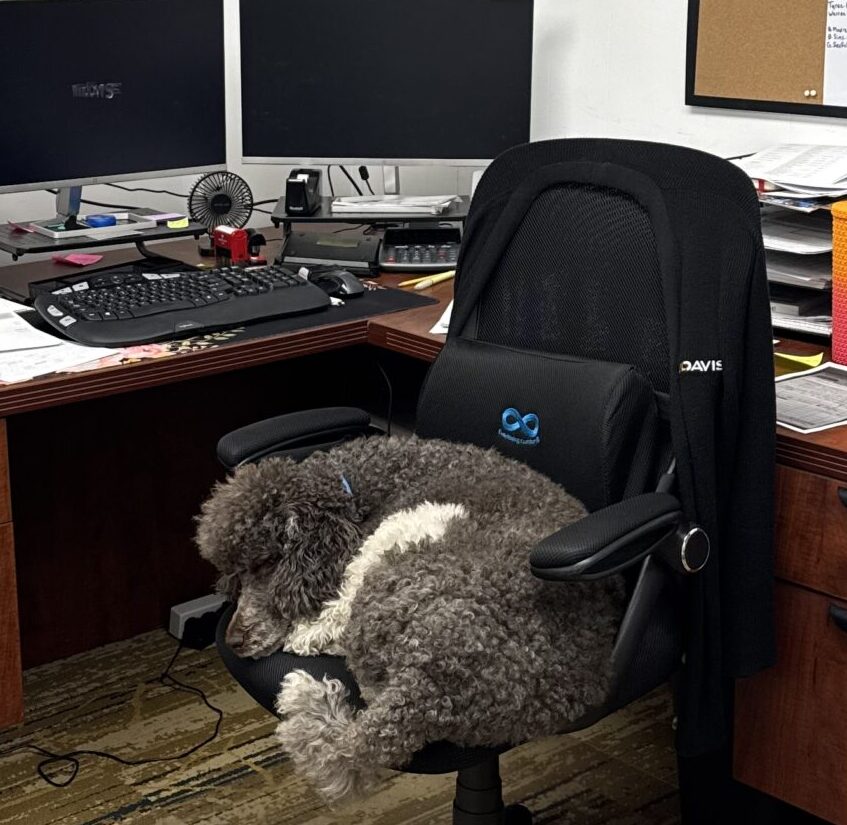 Team Member